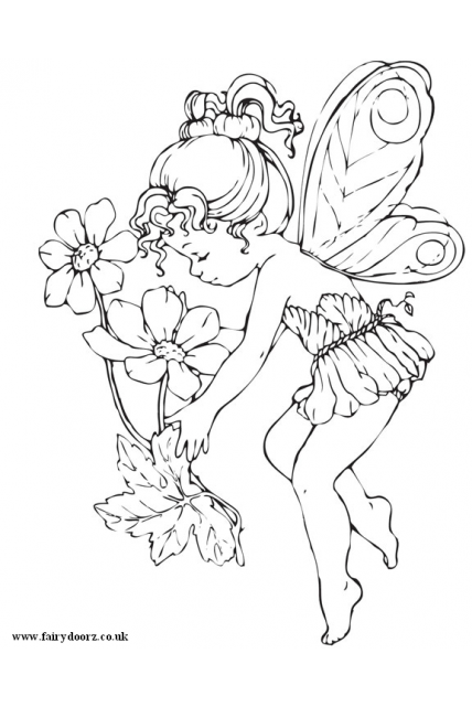 Fairy Colour In Sheet 4 Fairy Colour In Sheet 4